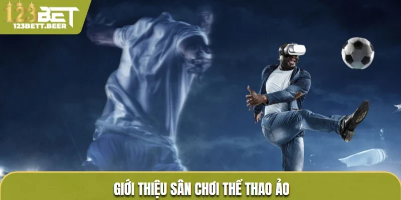 Sân chơi thể thao ảo - đôi nét