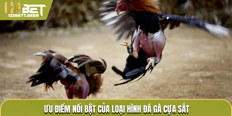 Ưu điểm nổi bật của loại hình đá gà cựa sắt